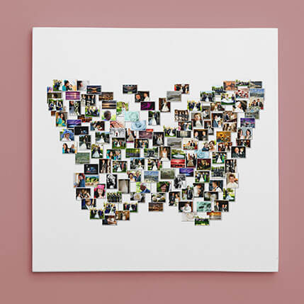Butteryfly Shape Photo Canvas Collage