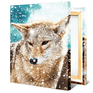 Picture Printing on Canvas - Size 8" x 8" Picture Printing on Canvas - Size 8" x 8"