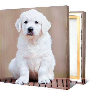 Photo on Canvas Prints - Size 10x10 Photo on Canvas Prints - Size 10x10