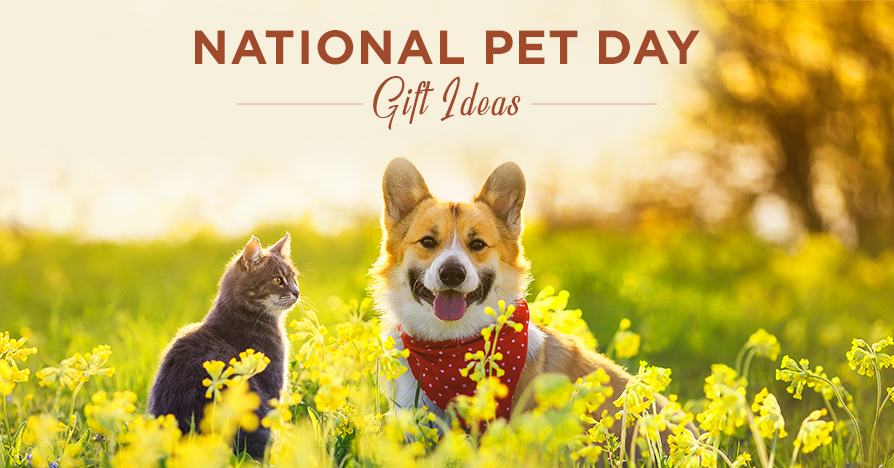 5 National Pet Day Gift Ideas - Unique Pet Gifts 