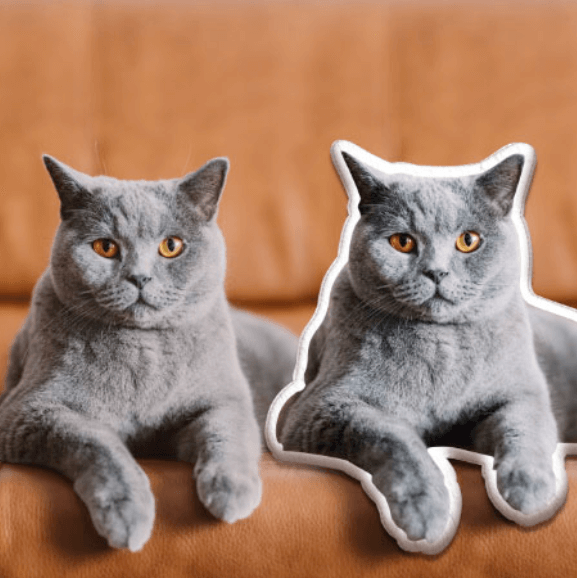 Woolly And Plush: Luxury Custom Pet Pillows Woolly And Plush: Luxury Custom Pet Pillows
