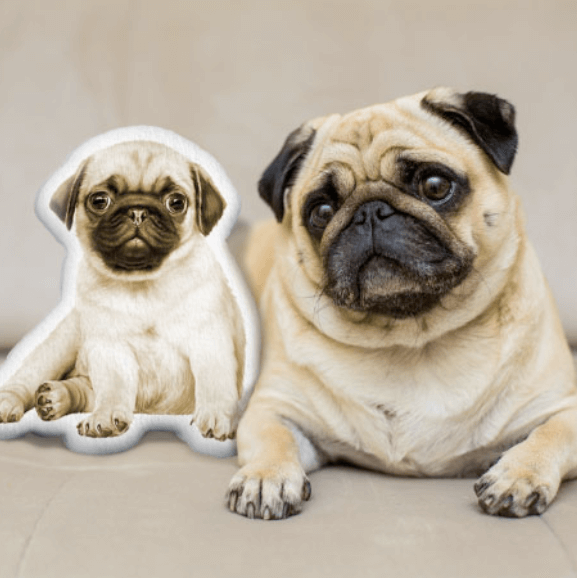 Custom-made pet pillows will make you fall in love