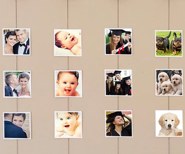 Family journey photo prints with pet photos